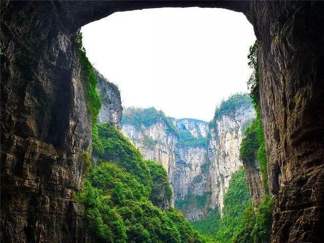 邻居的需求
